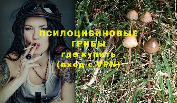 Альфа ПВП Михайлов