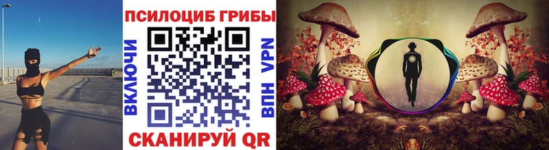 где купить наркоту  Голицыно  Псилоцибиновые грибы Cubensis 